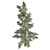 Pure White Fir Tree 3D model small image 3