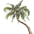 Tropical Bliss: Palm Coconut Dream 3D model small image 2