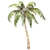 Tropical Bliss: Palm Coconut Dream 3D model small image 3