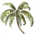 Tropical Bliss: Palm Coconut Dream 3D model small image 4