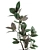 Concrete Pot Exotic Ficus 3D model small image 4