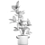 Concrete Pot Exotic Ficus 3D model small image 5