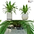 Pair of Majestic Palms in Pot 3D model small image 1