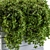 Lush Greenery Delivered to Your Doorstep 3D model small image 2