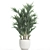 Exotic Palm Collection in White Pot 3D model small image 2