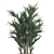 Exotic Palm Collection in White Pot 3D model small image 3
