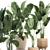 Exotic Indoor Plant Collection 3D model small image 3