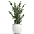 Exotic Tropical Plants in White Pots 3D model small image 2