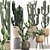 Exotic Cactus Collection in Rattan Baskets 3D model small image 1