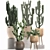 Exotic Cactus Collection in Rattan Baskets 3D model small image 4