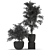 Botanical Beauty: Plants Collection 335 3D model small image 5