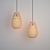 Elegant Pendant Light 3D model small image 1