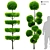 Dual Shrub Duo: 2.5m Height 3D model small image 1