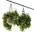 Lush & Lovely Outdoor Hangings 3D model small image 1