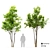 Twin Majestic Maple Trees 3D model small image 1