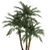 Tropical Plant Collection: Exotic Indoor Palms 3D model small image 2