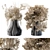 14 Dried Plants: Beauty Preserved 3D model small image 1