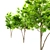 6m Ash Tree: 534,727 Polys, 768,305 Verts 3D model small image 2