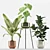 Tropical Plant Set: Alocasia, Calathea, Ficus 3D model small image 2