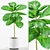 Fiddle-Leaf Fig Tree 3D Model 3D model small image 1