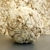 Beige Rock Texture: VRAY PBR Material 3D model small image 4