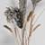 Natural Dry Plant Decor for Home 3D model small image 2