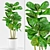 Fiddle Plants: Max 2012 & FBX 3D model small image 1