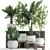 Tropical Plant Collection: Exotic Indoor Plants in White Pots 3D model small image 1