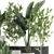 Tropical Plant Collection: Exotic Indoor Plants in White Pots 3D model small image 4