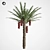 Tropical Paradise Palm Tree 3D model small image 2