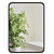 Metal Framed Rectangular Mirror 3D model small image 1