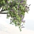 Tall Chasteberry Tree - 5-6m 3D model small image 2