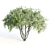 Tall Chasteberry Tree - 5-6m 3D model small image 3