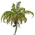 Exquisite Chinese Fan Palm: Detailed, Optimized, Realistic 3D model small image 4