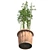 Natural Bamboo Cluster Pot | Eco-Friendly Indoor Plant Holder 3D model small image 3