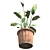 Bamboo Harmony Pot 3D model small image 3