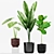 Tropical Alcoasia Plants Set 3D model small image 2