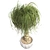 Succulent Beauty: Ponytail Palm 3D model small image 2