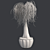 Succulent Beauty: Ponytail Palm 3D model small image 5