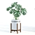 Green Oasis: Decorative Indoor Plant Set 3D model small image 2