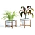 Green Oasis: Decorative Indoor Plant Set 3D model small image 3