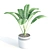 Green Oasis: Decorative Indoor Plant Set 3D model small image 5