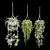 Hanging Plant Trio: Dyshidia, Chlorophytum, Heder 3D model small image 1