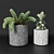 Bransc Pots: Chic Black and White Planters 3D model small image 1