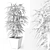 Ficus Ali: Beautiful Indoor Plant 3D model small image 2