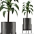 Exotic Decorative Palm Tree: House Plant 3D model small image 1