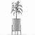 Exotic Decorative Palm Tree: House Plant 3D model small image 5