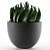 Exotic Palm Tree Pot: Office and Outdoor Decor 3D model small image 2