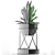 Exotic Palm: Modern Concrete House Plant 3D model small image 4