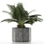 Exotic Palm Tree: House Plant 28 3D model small image 2